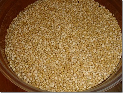 quinoa