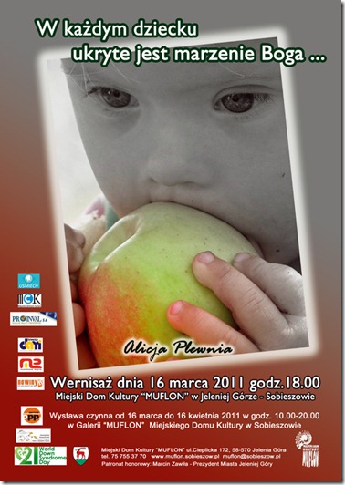 11poster1