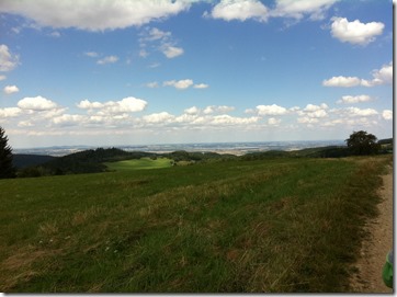 zdjecie (5)