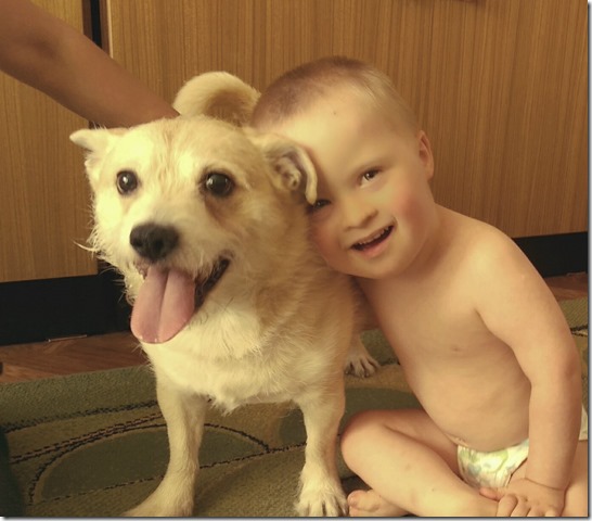 IMAG0242_1
