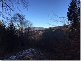 IMG_3138 (2)