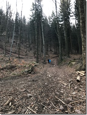 image1 (10)