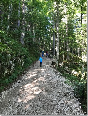 IMG_6318 (2)