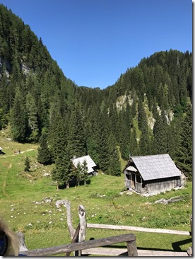 IMG_6335