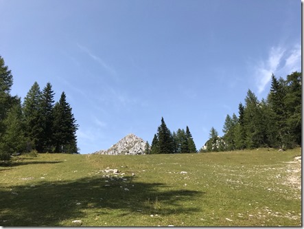 IMG_6651