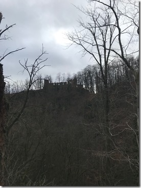 IMG_8007