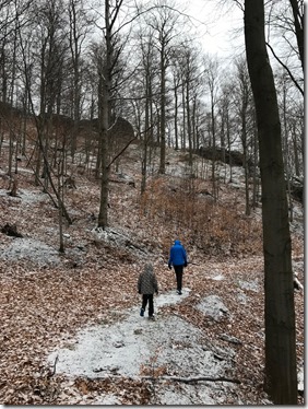 IMG_8084