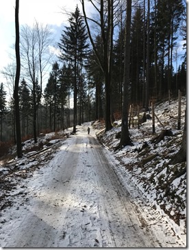 IMG_8475