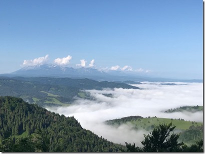 IMG_2019