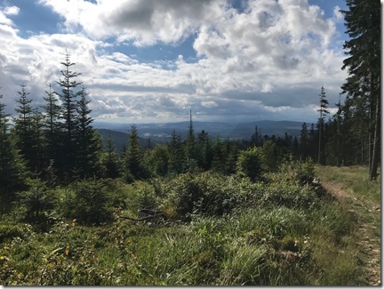 IMG_3187