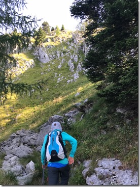 IMG_6570