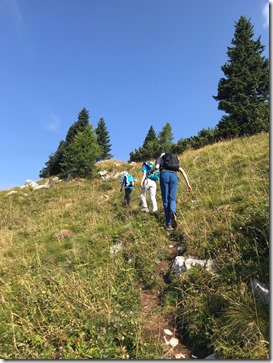 IMG_6598