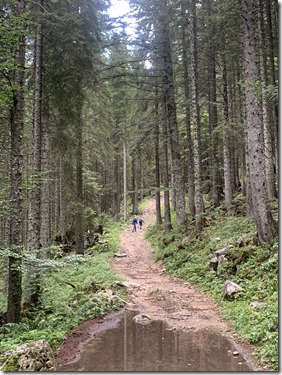 IMG_8649