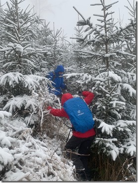 IMG_2595