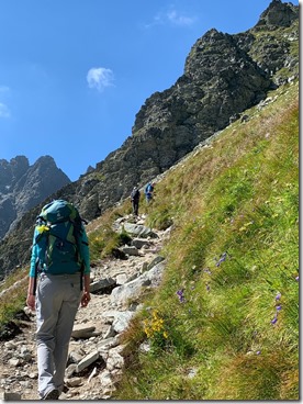 IMG_7238