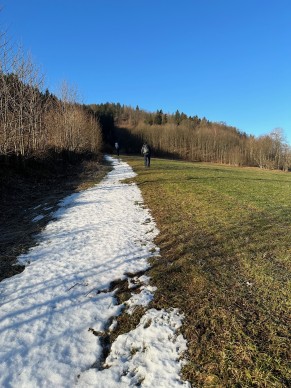 IMG_1338