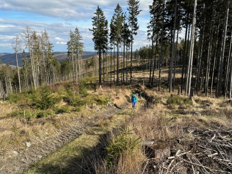 IMG_2282