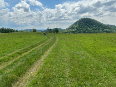 IMG_3920