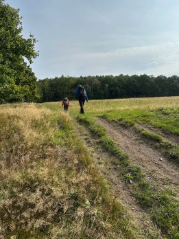 IMG_3358