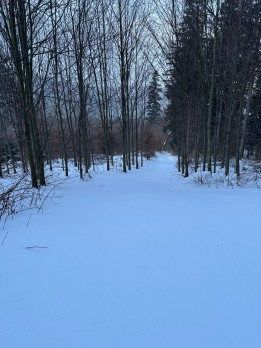 IMG_5161