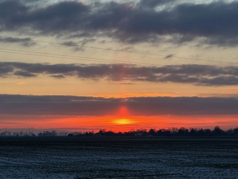 IMG_5239