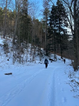 IMG_5244