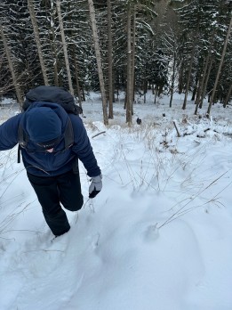 IMG_5311