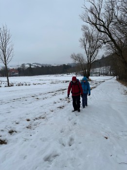 IMG_5445