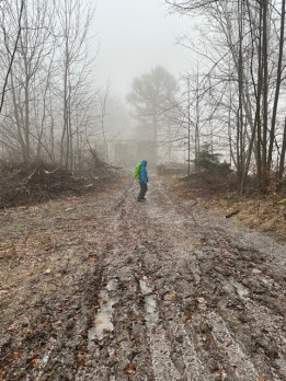 IMG_5807
