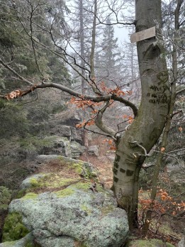 IMG_5828