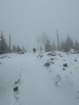 IMG_5972