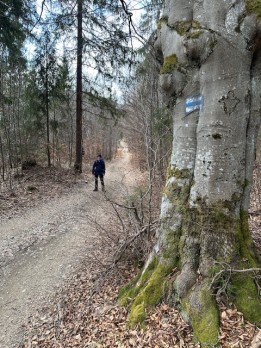 IMG_6668