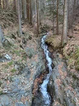 IMG_7819