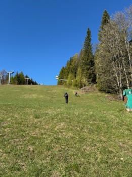 IMG_7850