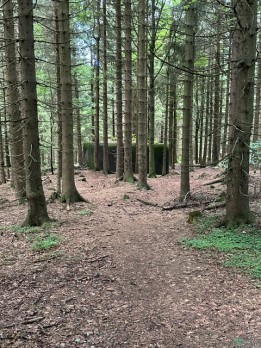 IMG_8499