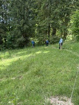 IMG_8542