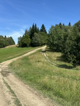 IMG_9313
