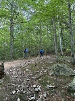 IMG_0263