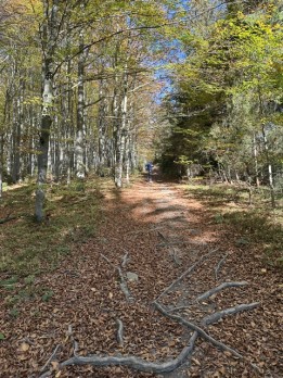 IMG_1118